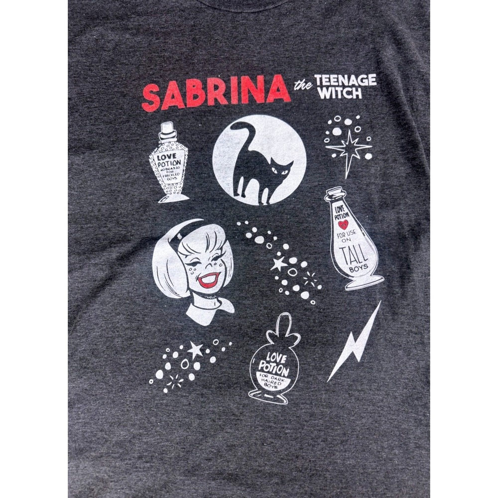 Sabrina the Teenage Witch Graphic T-Shirt Mens Large Gray Salem Cat Archie Comic